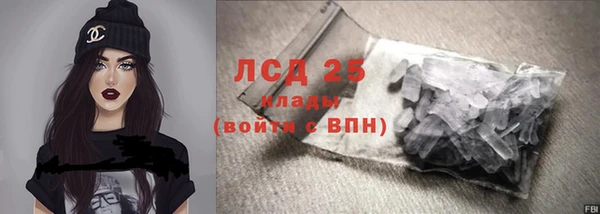 гидра Покачи
