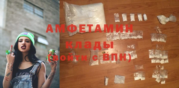гидра Покачи