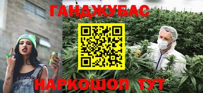 шишки Коммунар