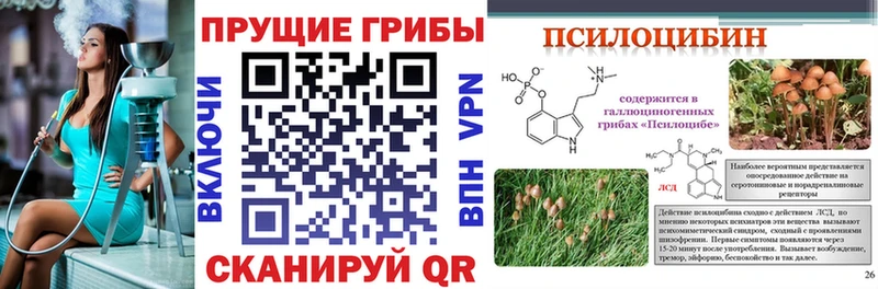 Галлюциногенные грибы Magic Shrooms  Курганинск 