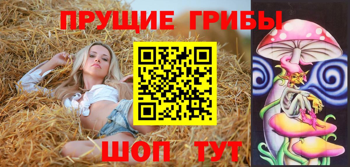 Галлюциногенные грибы прущие грибы Курганинск