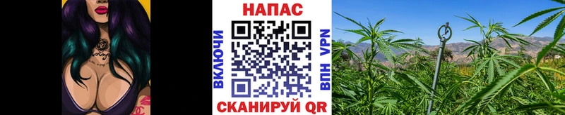 Каннабис OG Kush  omg зеркало  Курганинск 